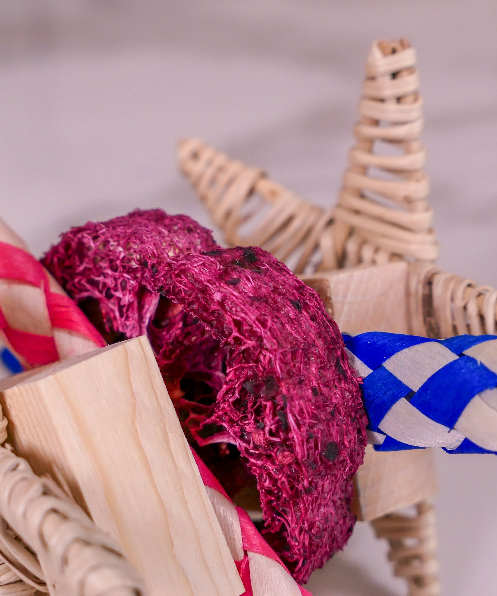 Star Loofah Trap Chew Toy