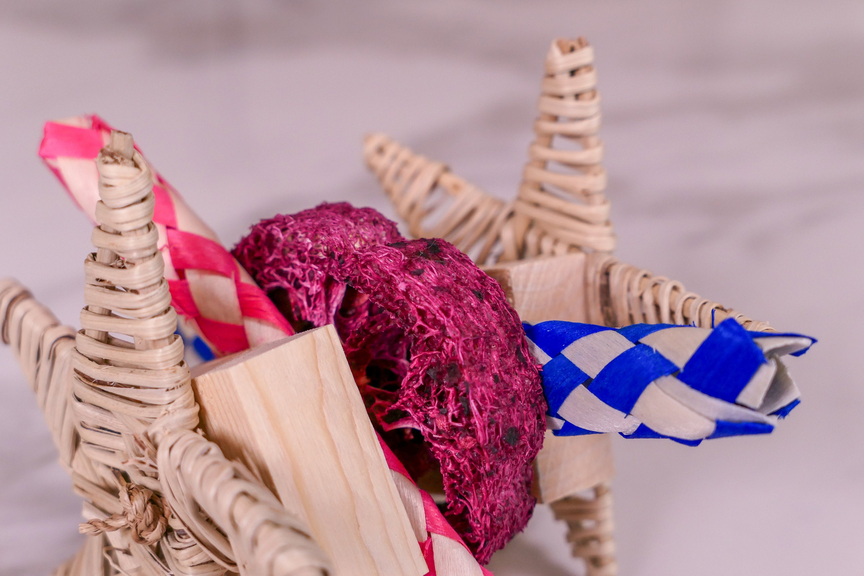 Star Loofah Trap Chew Toy