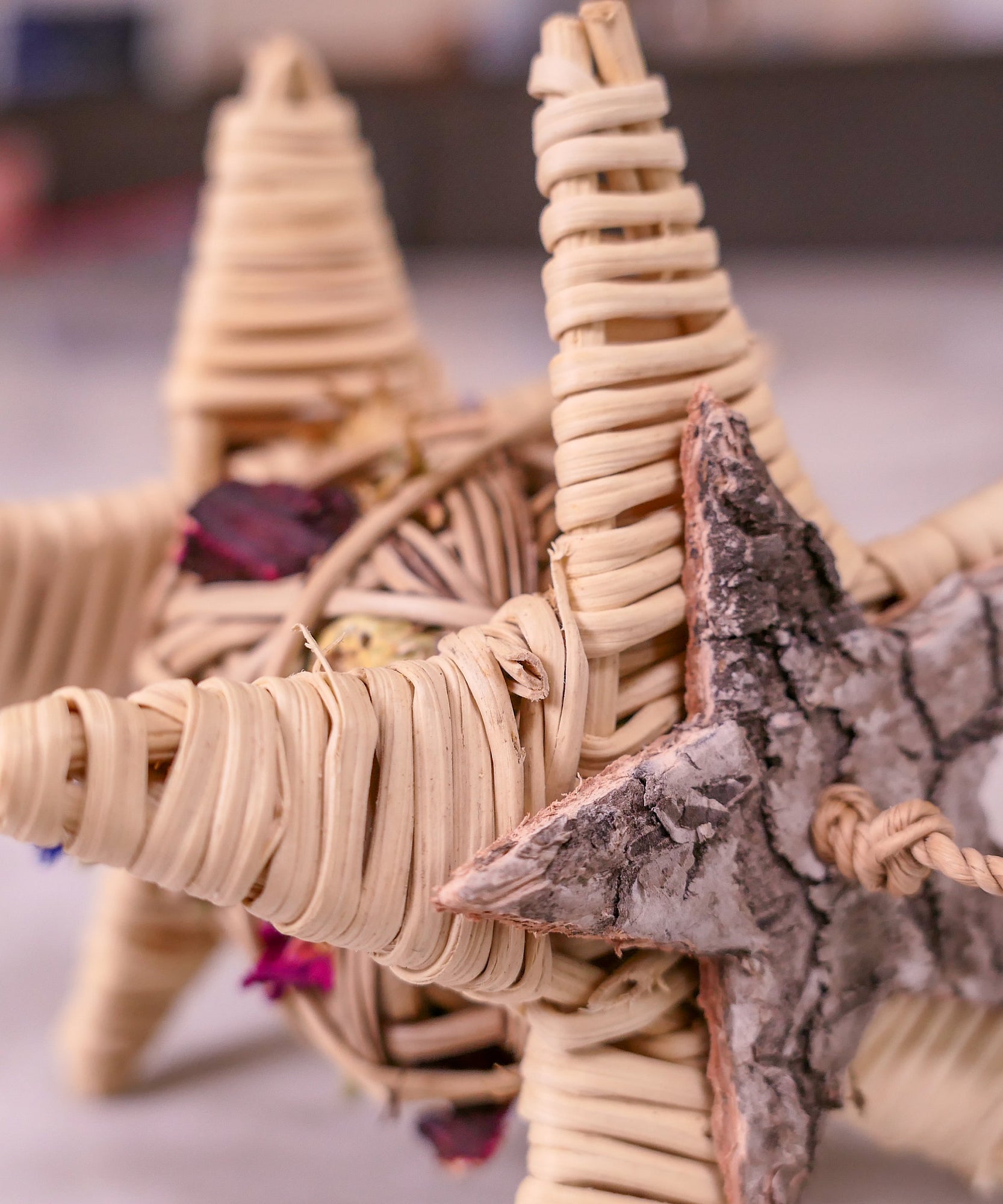 Starry Forage Chew Toy