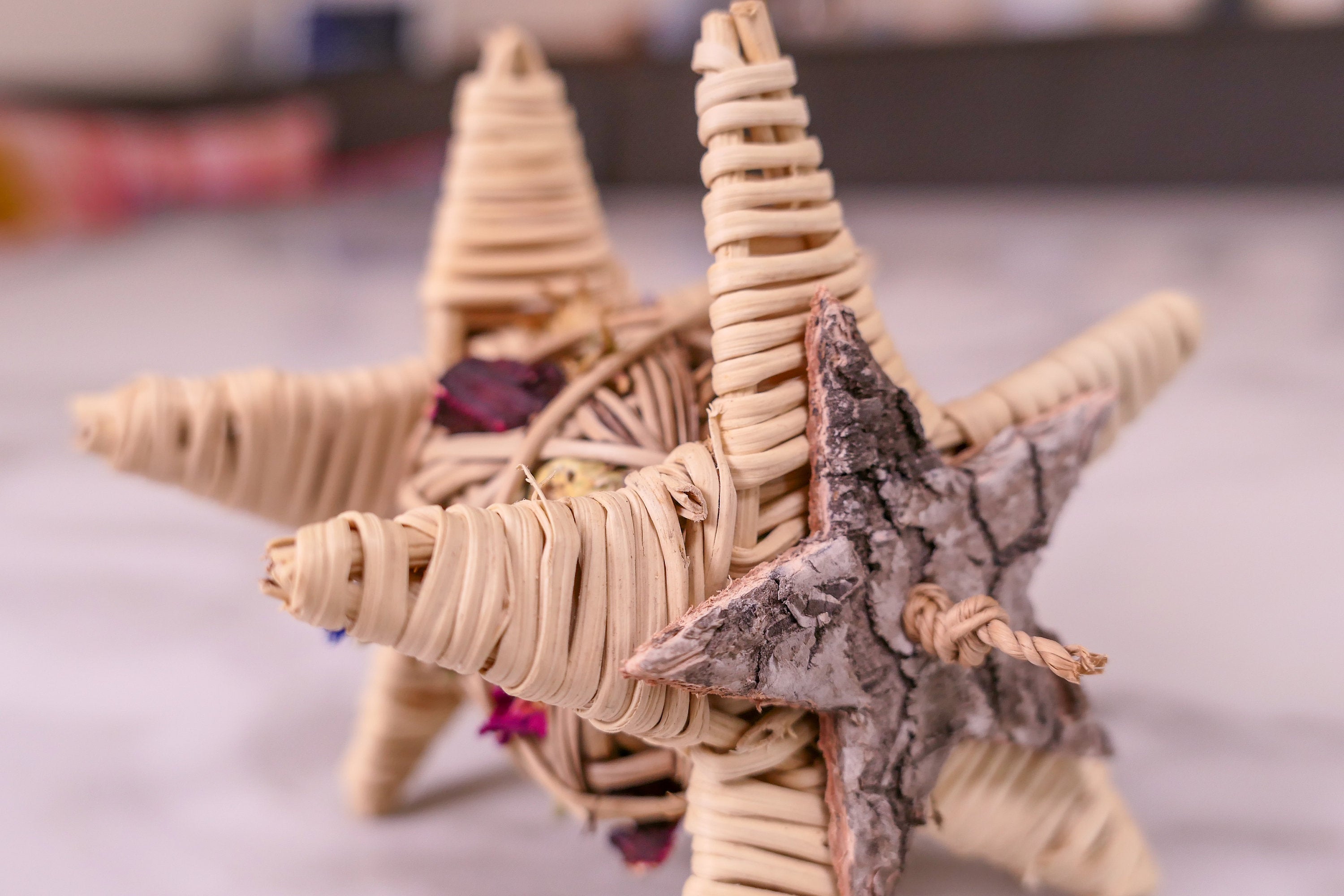 Starry Forage Chew Toy