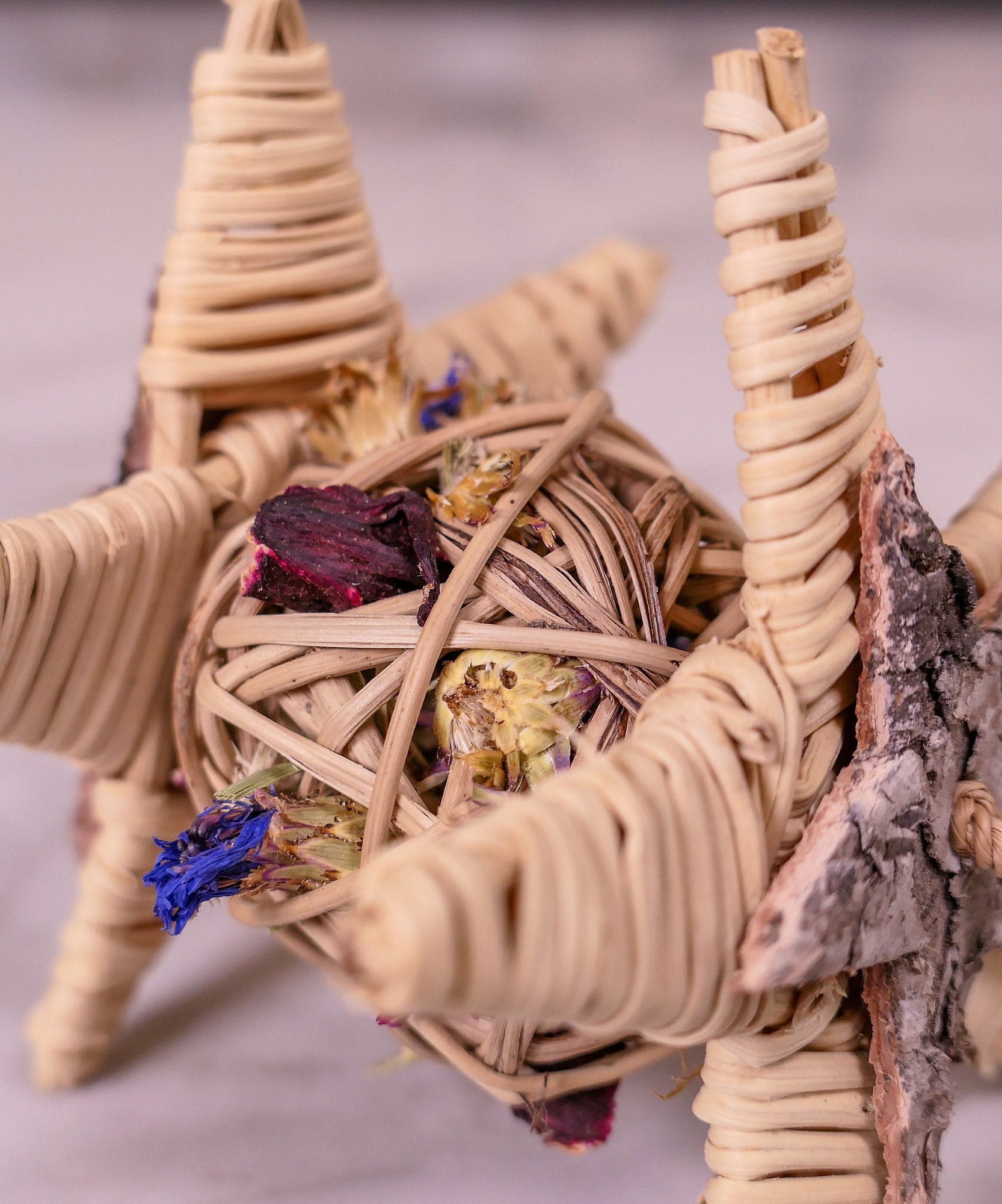 Starry Forage Chew Toy