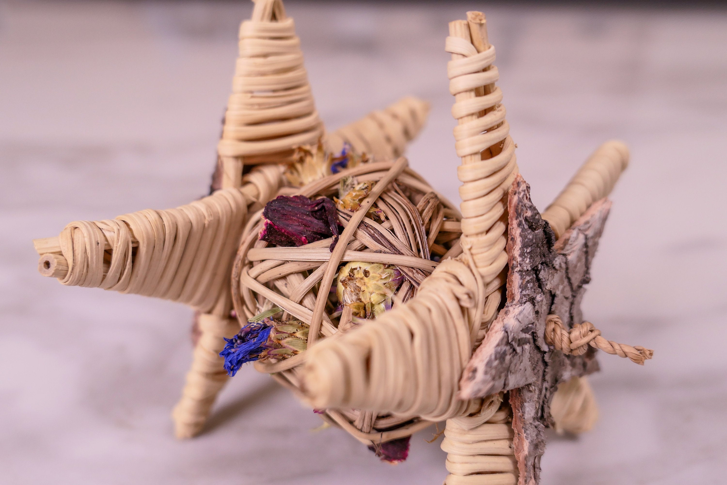 Starry Forage Chew Toy