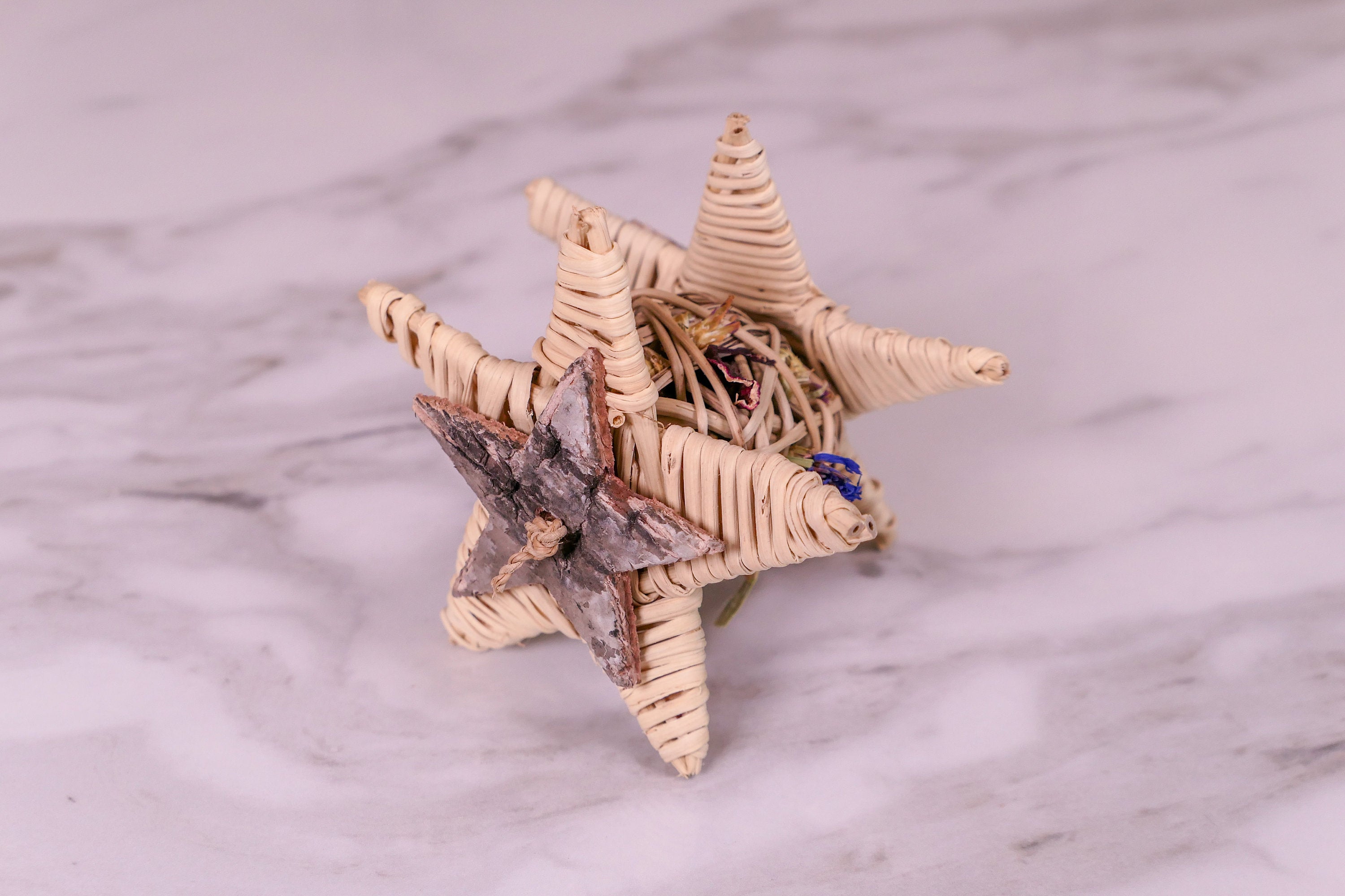Starry Forage Chew Toy