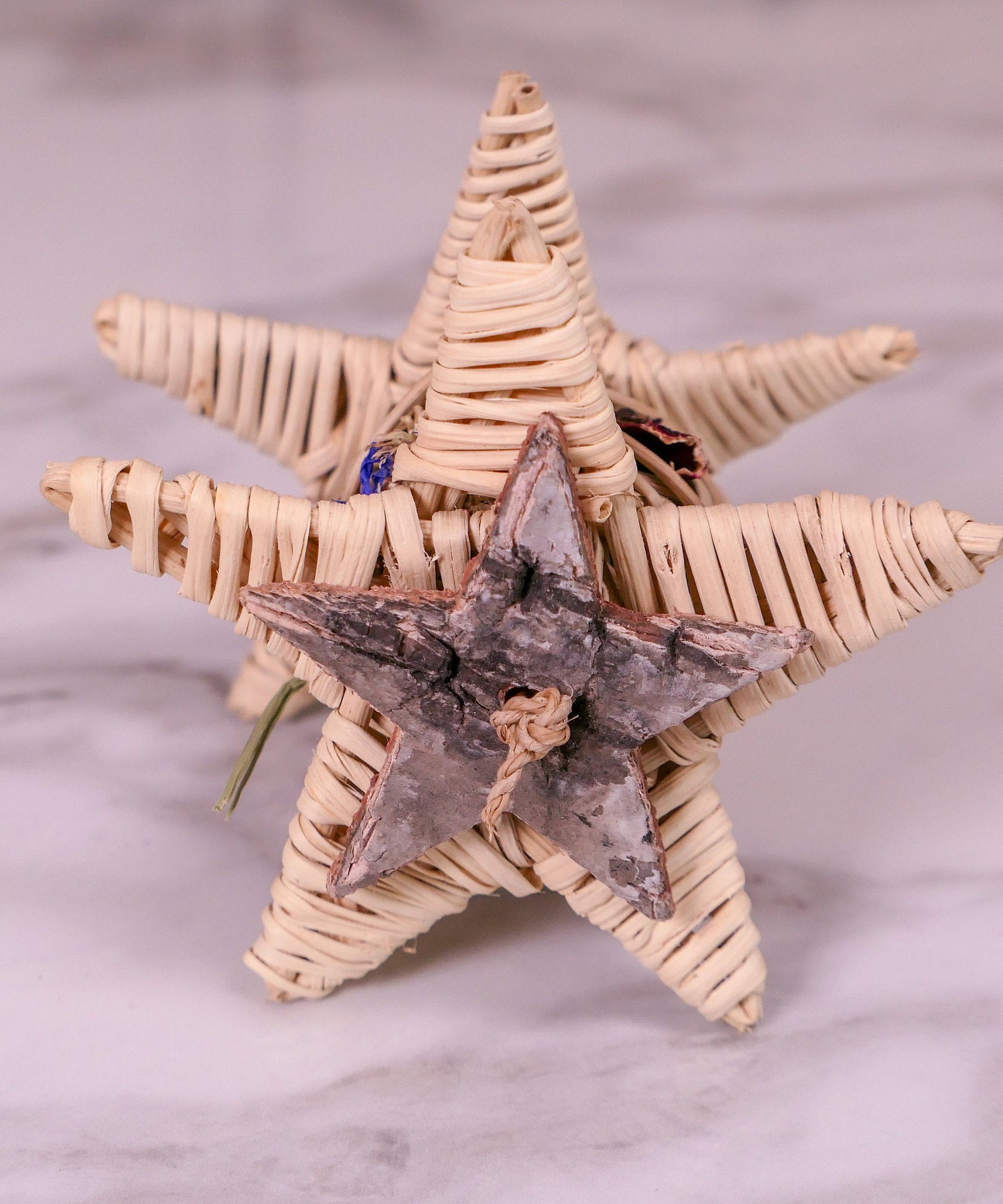 Starry Forage Chew Toy