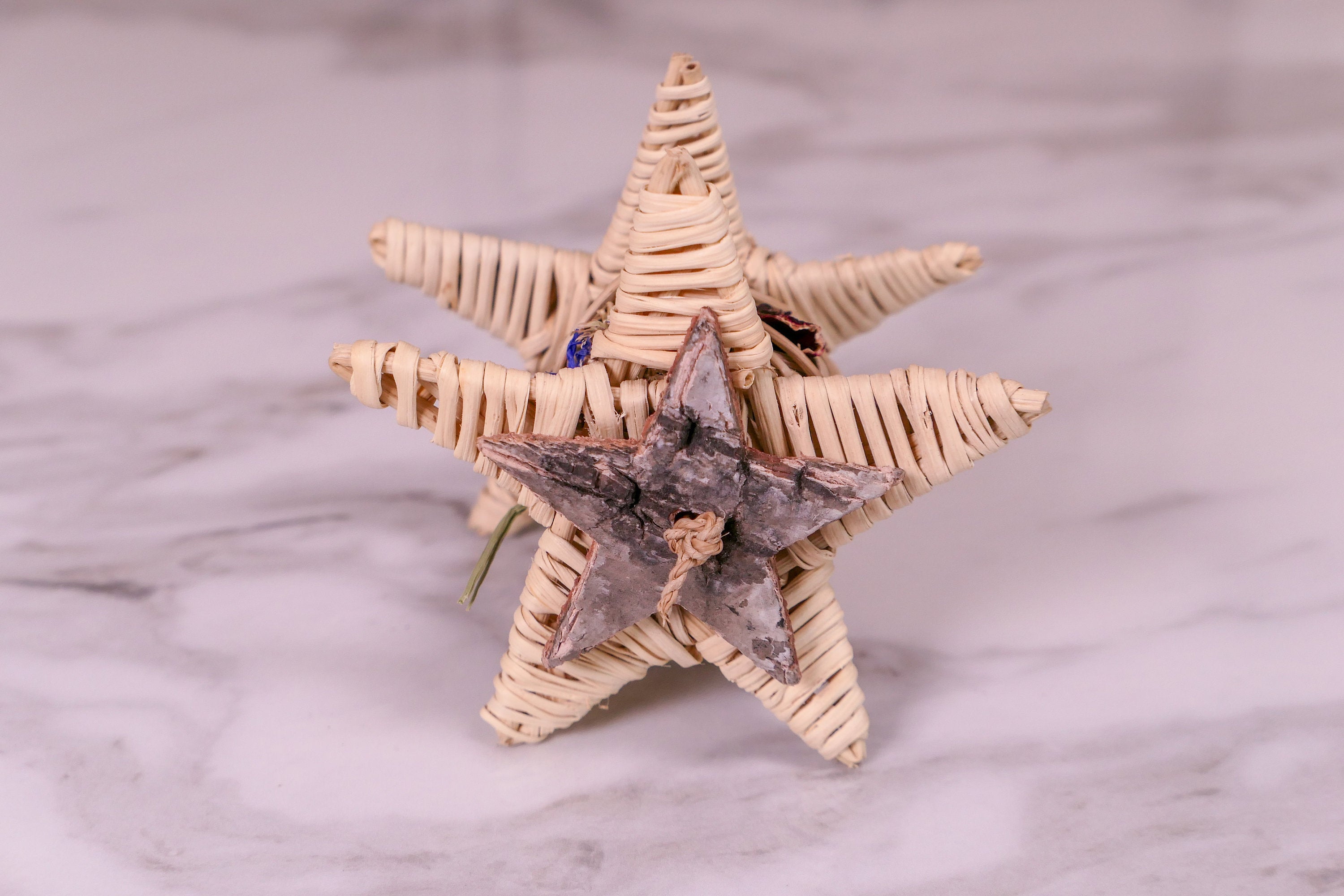 Starry Forage Chew Toy