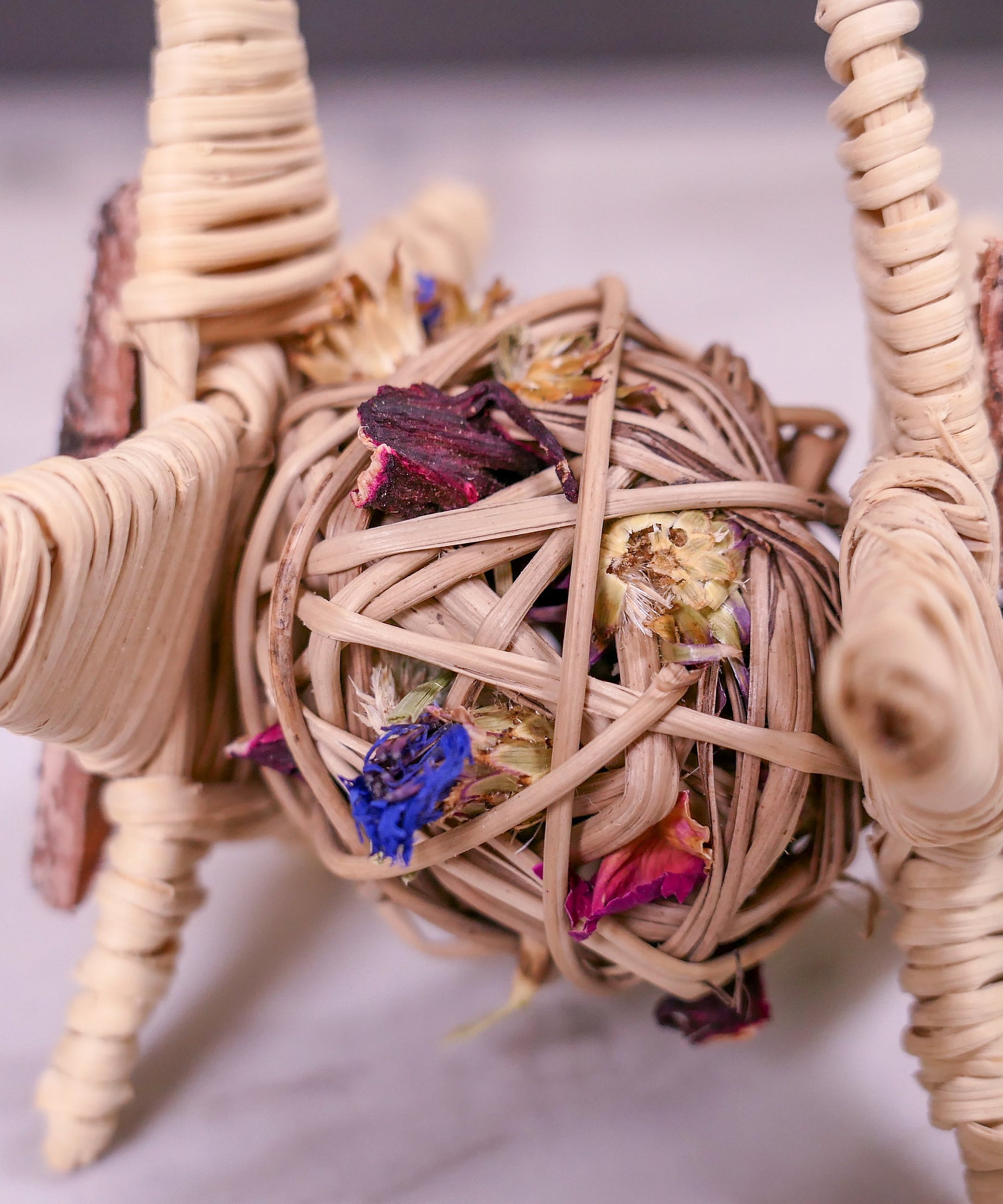 Starry Forage Chew Toy