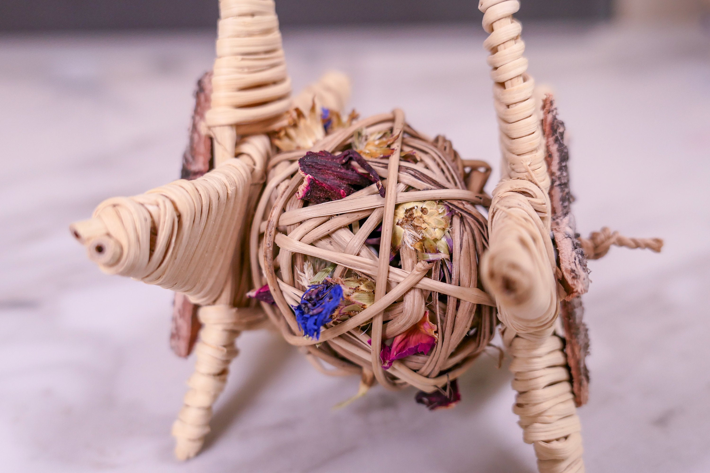 Starry Forage Chew Toy