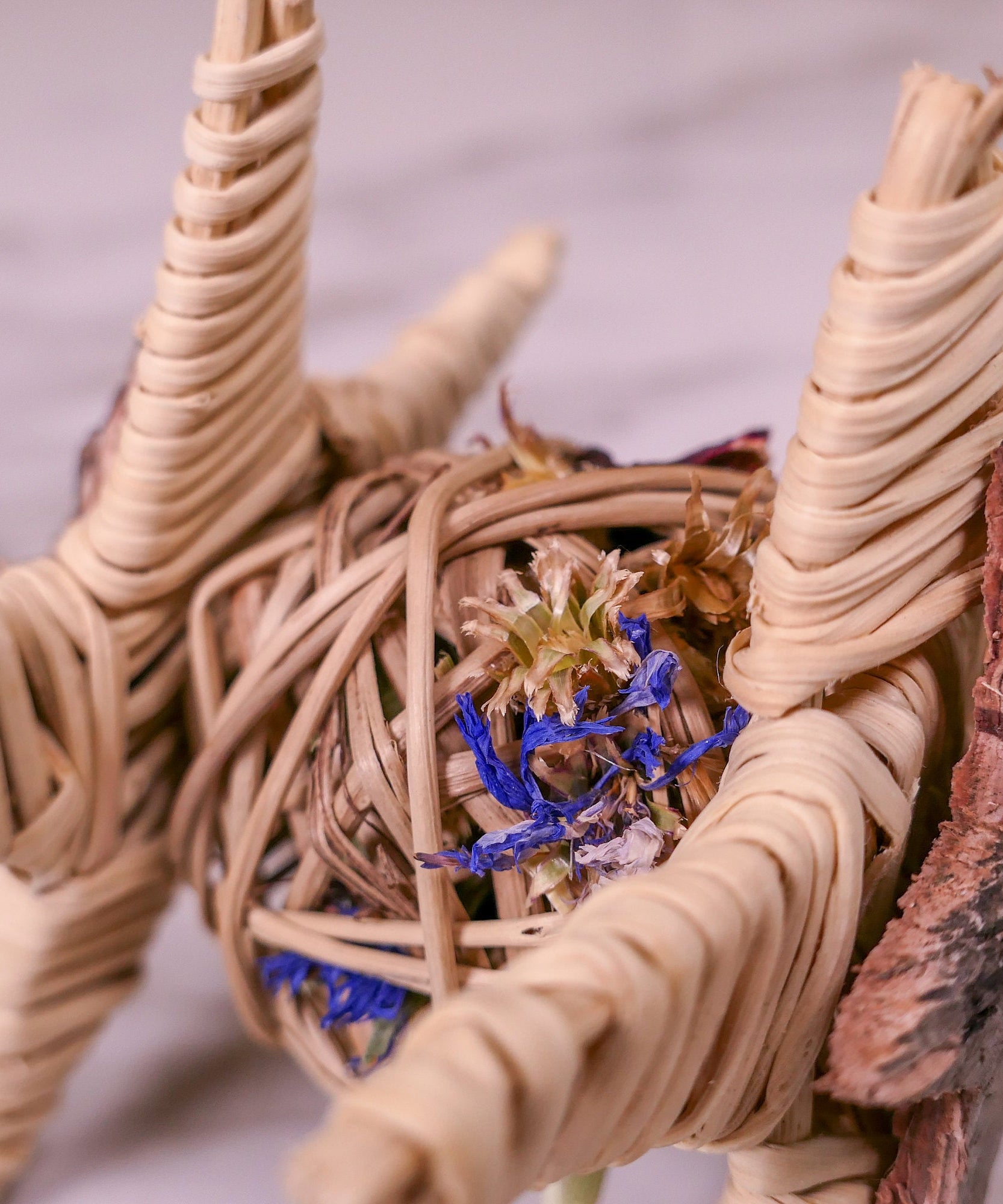 Starry Forage Chew Toy