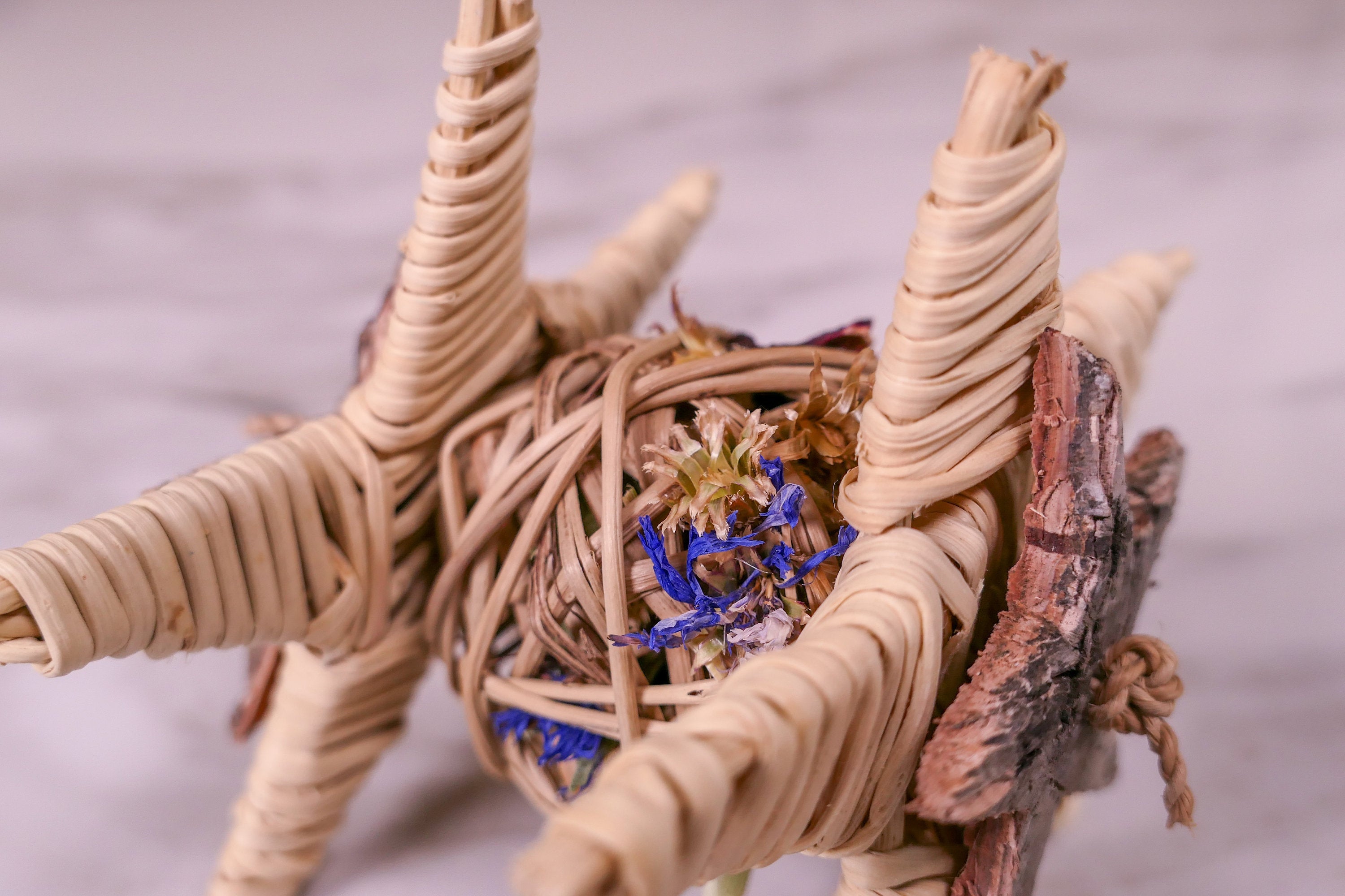 Starry Forage Chew Toy