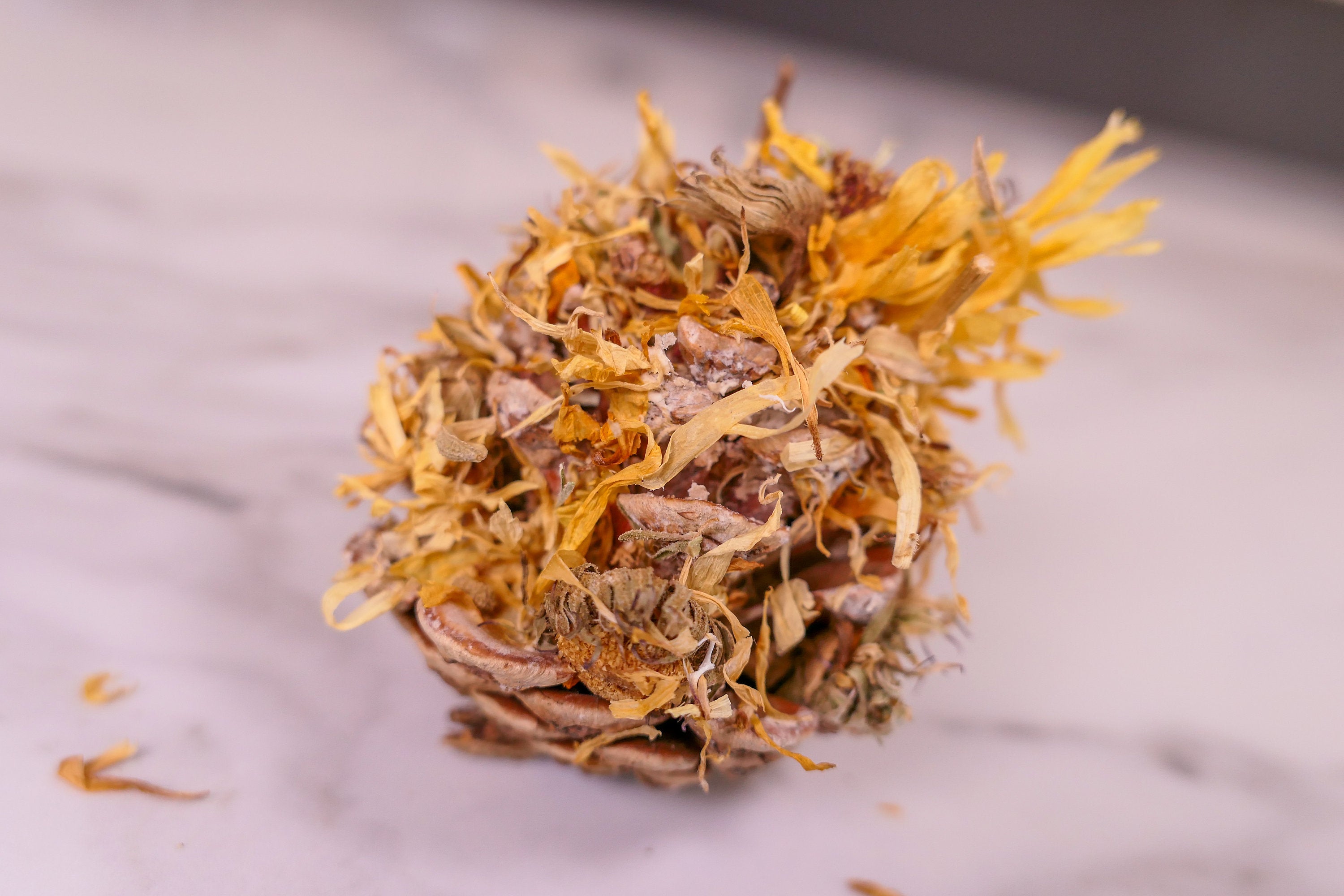 Floral Pine Cone Chew Toy