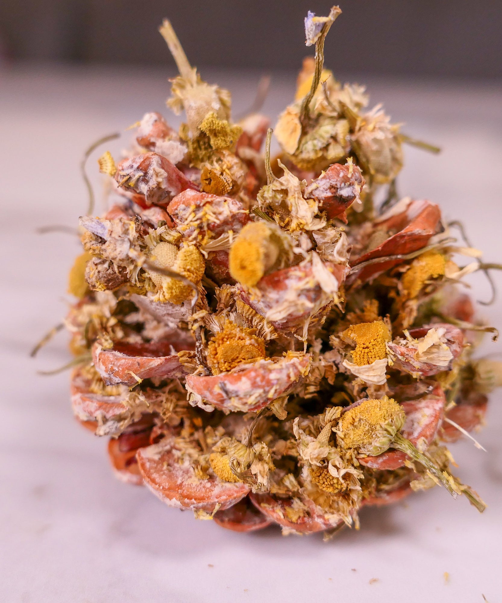 Floral Pine Cone Chew Toy