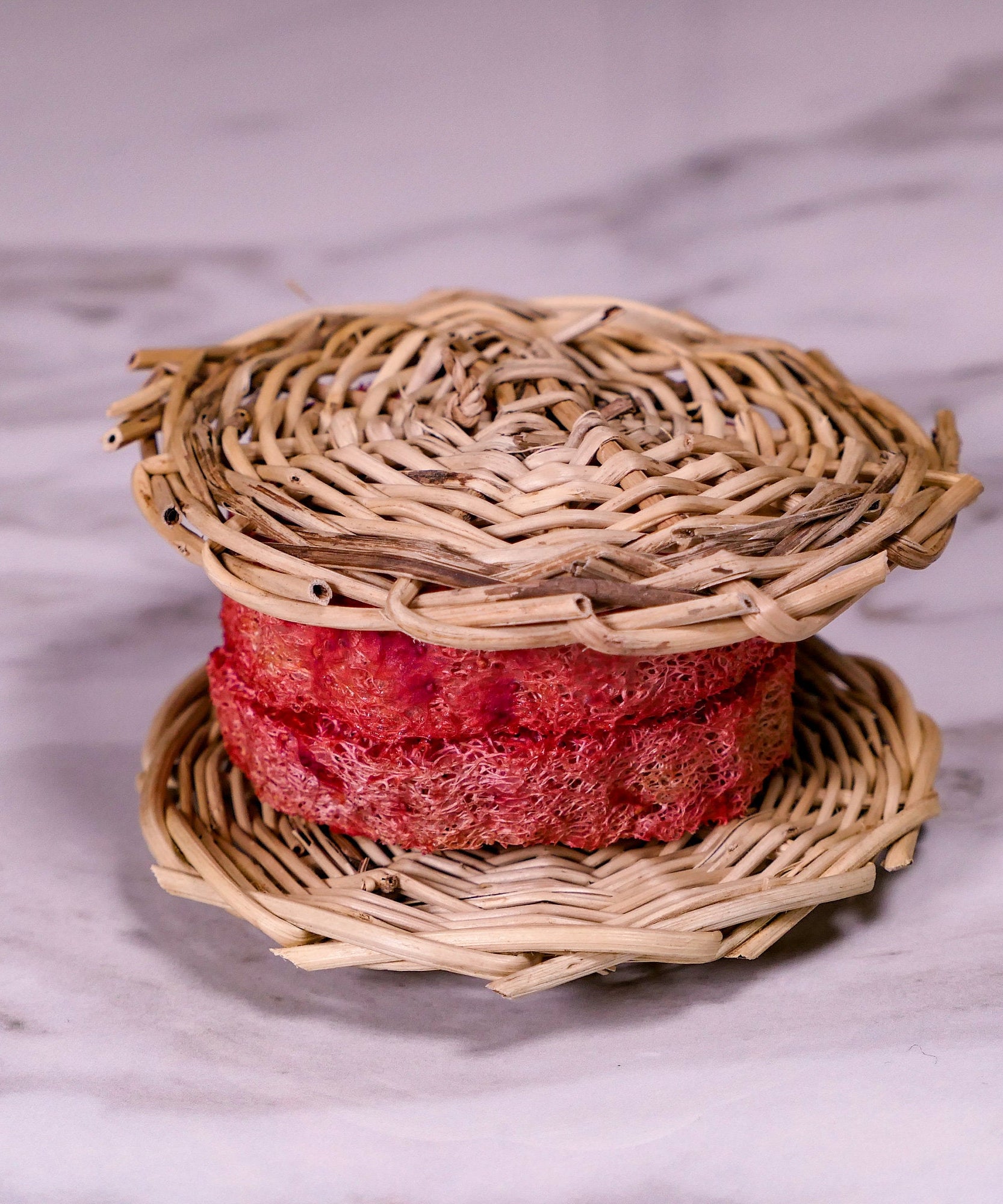 Loofah Macaroon Chew Toy