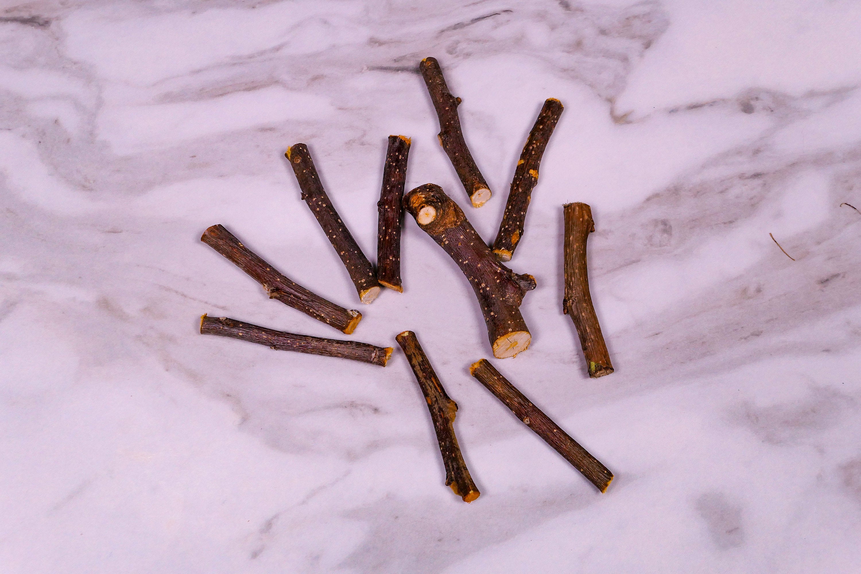 Forage - Apple Sticks