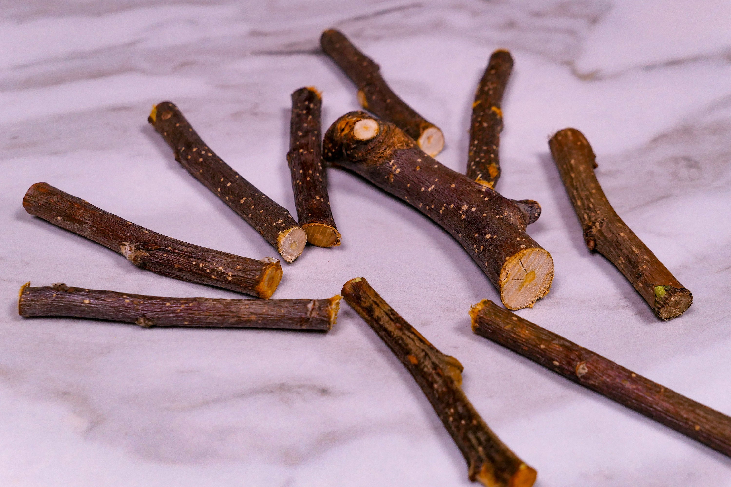 Forage - Apple Sticks