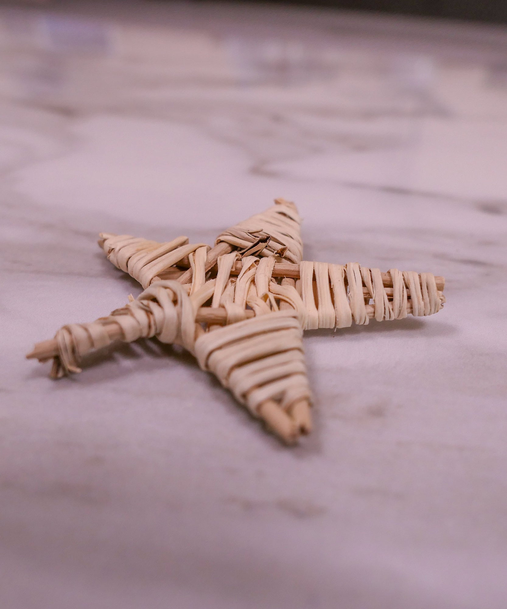 Mini Vine Star Chew Toy