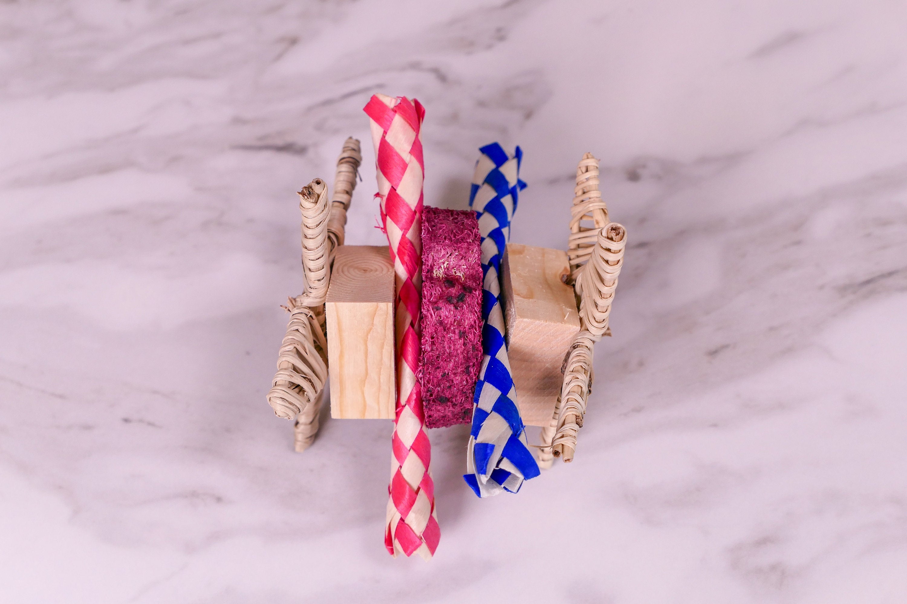 Star Loofah Trap Chew Toy