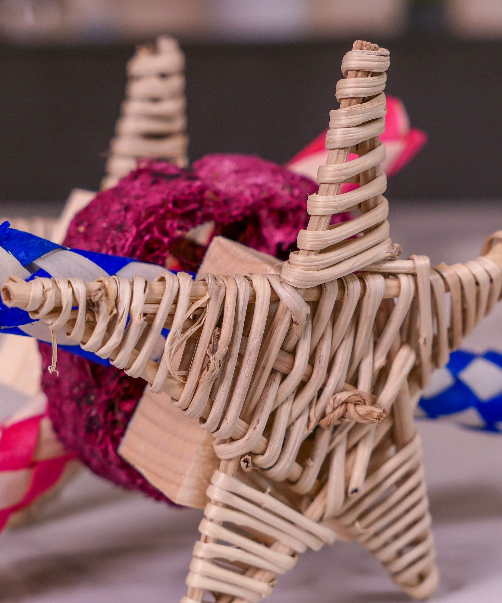 Star Loofah Trap Chew Toy