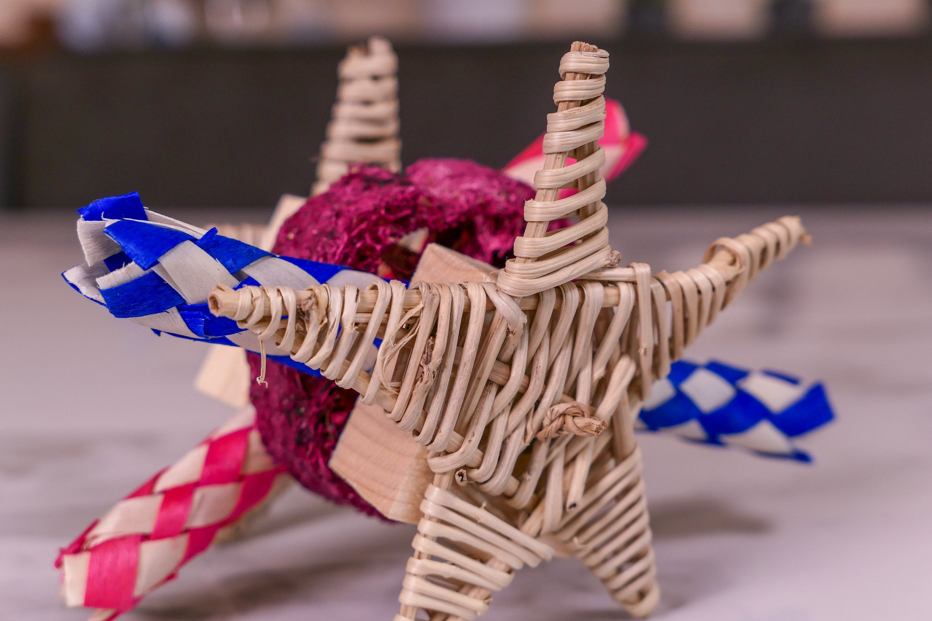 Star Loofah Trap Chew Toy