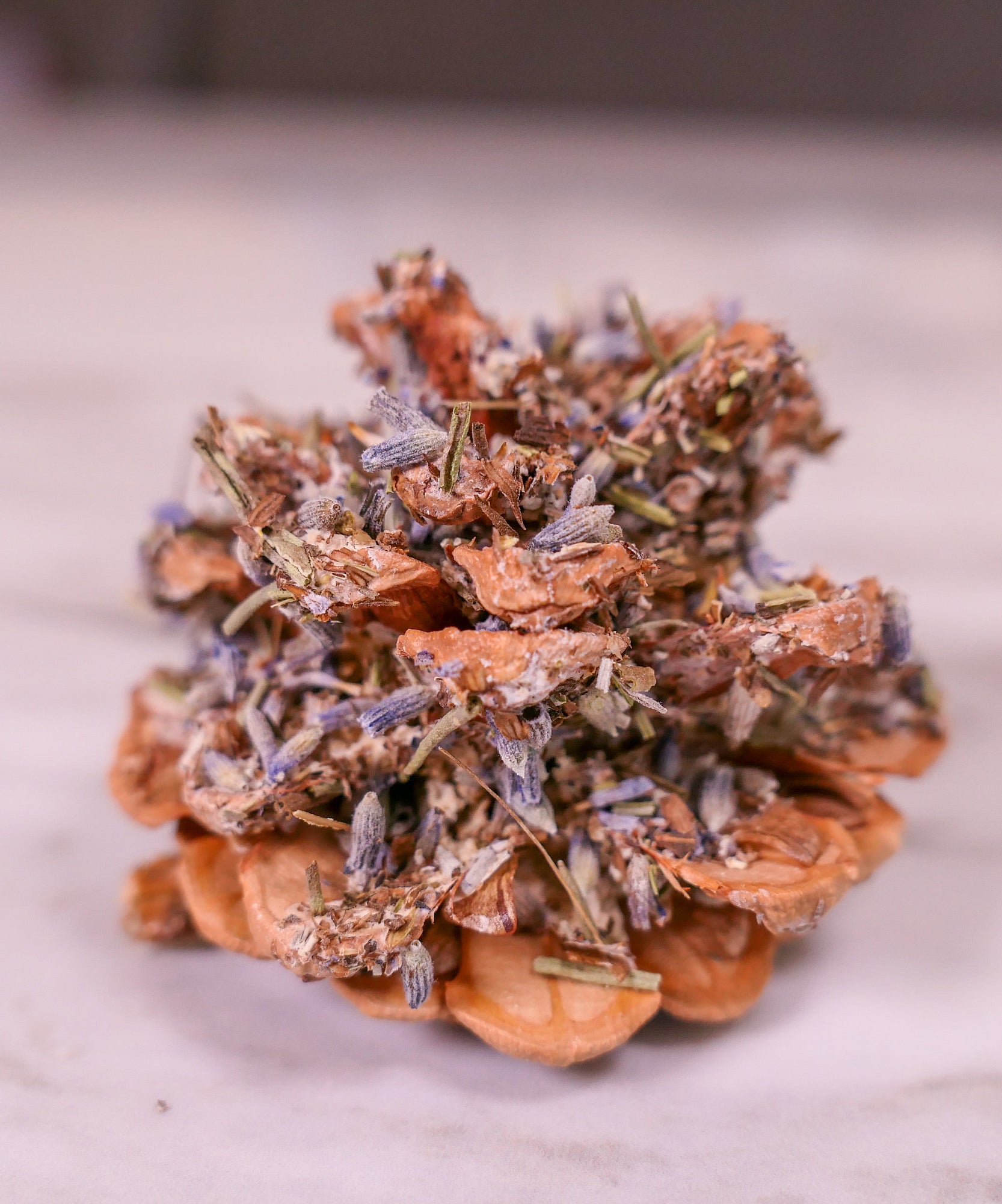 Floral Pine Cone Chew Toy