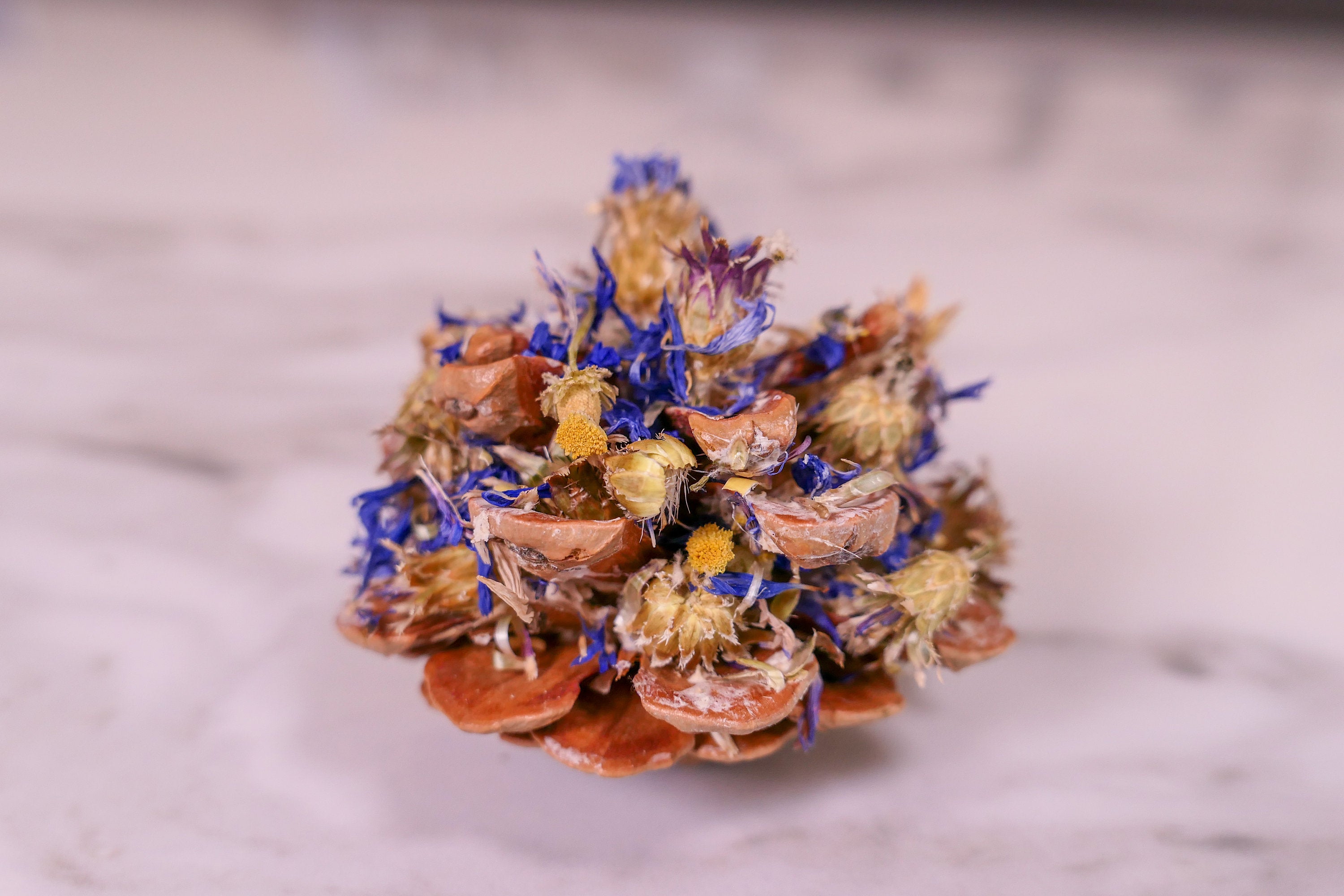 Floral Pine Cone Chew Toy