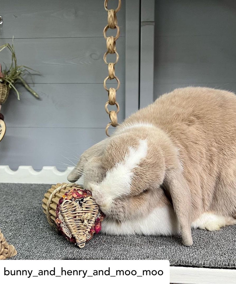 Rose Heart Cupcake Chew Toy