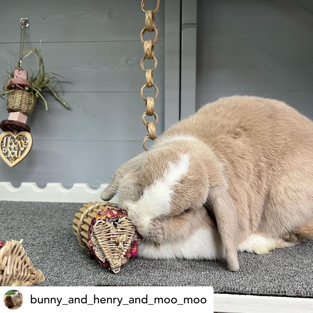 Rose Heart Cupcake Chew Toy