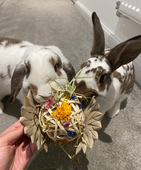 Palm Flower Forage Toy