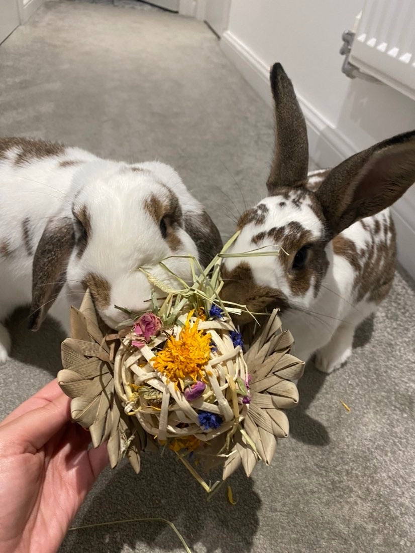 Palm Flower Forage Toy