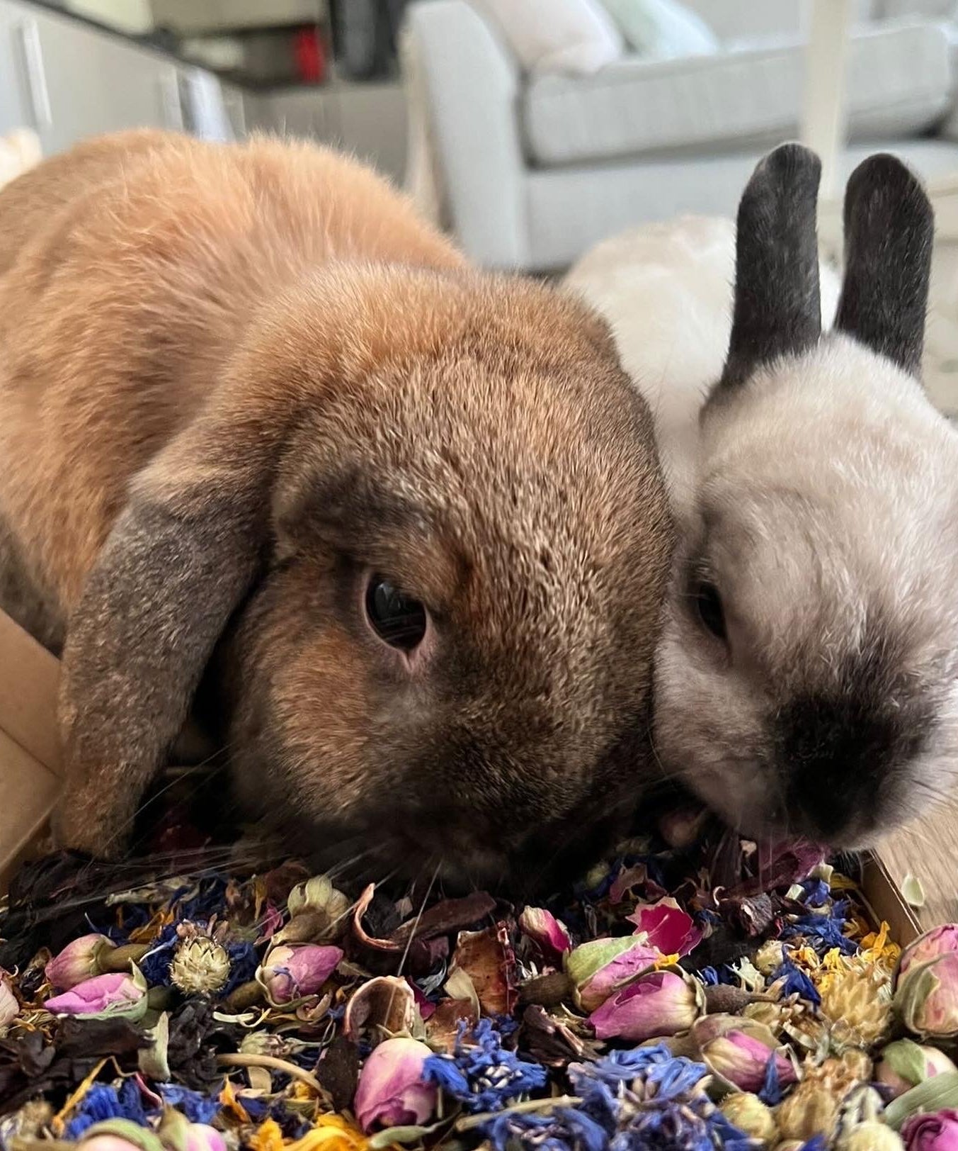 Birthday Confetti Mini Forage Box