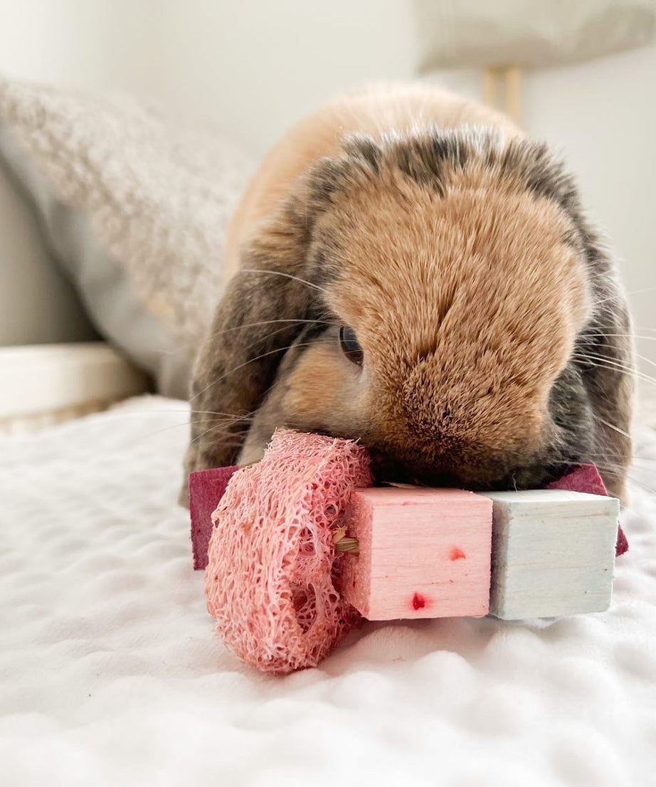 Infused Balsa and Loofah Hula Hoop Chew Toy