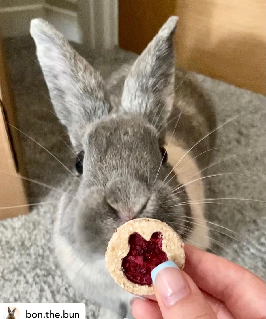Jam Sandwich Cookies Treat Bag