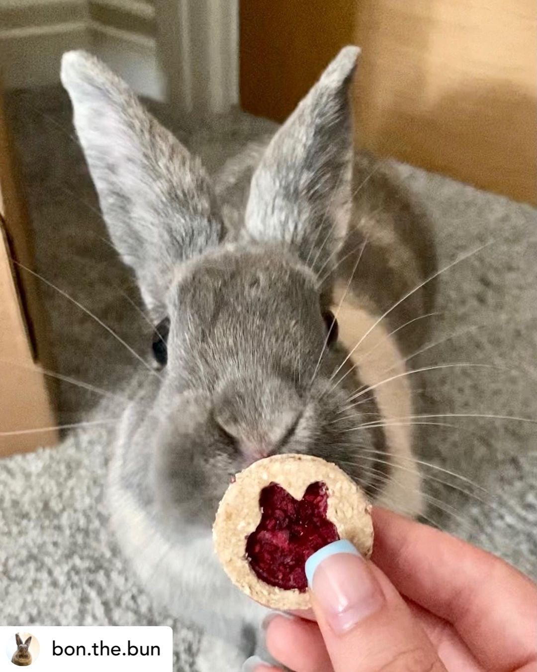 Jam Sandwich Cookies Treat Bag