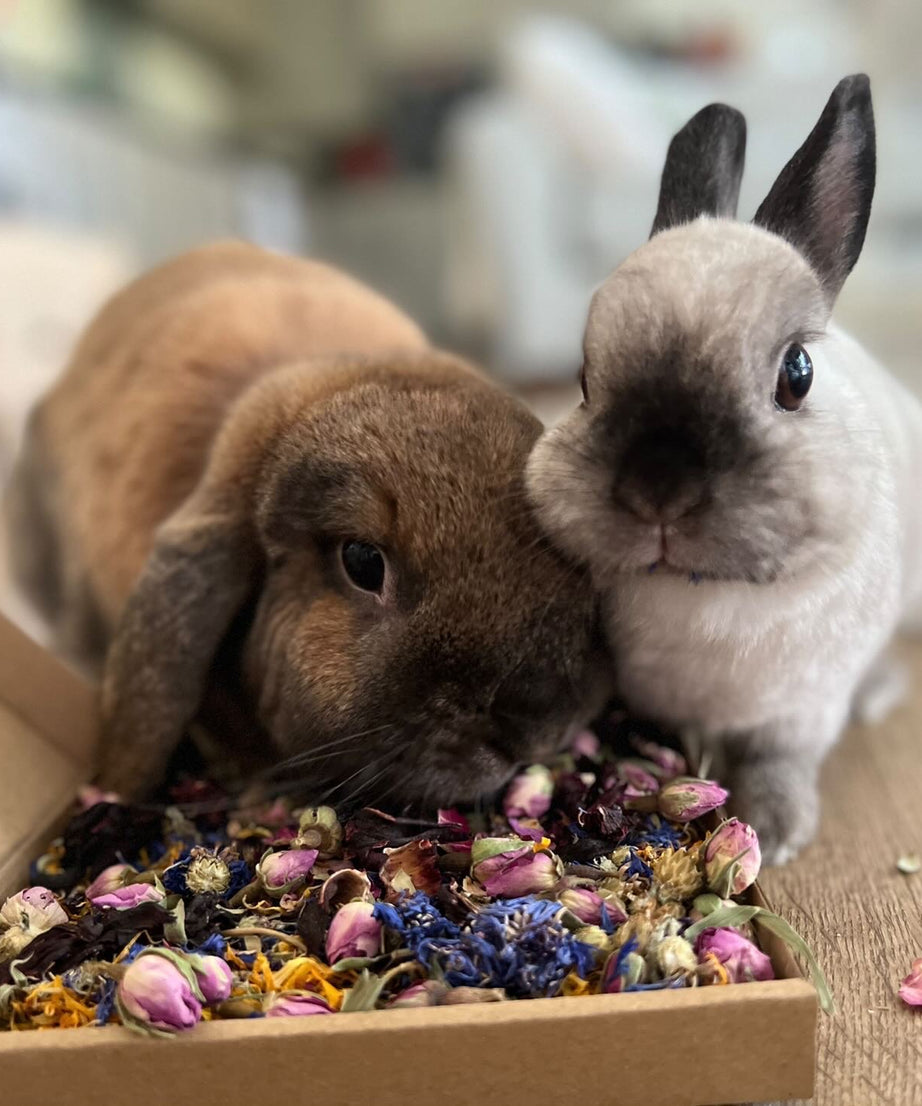 Birthday Confetti Mini Forage Box