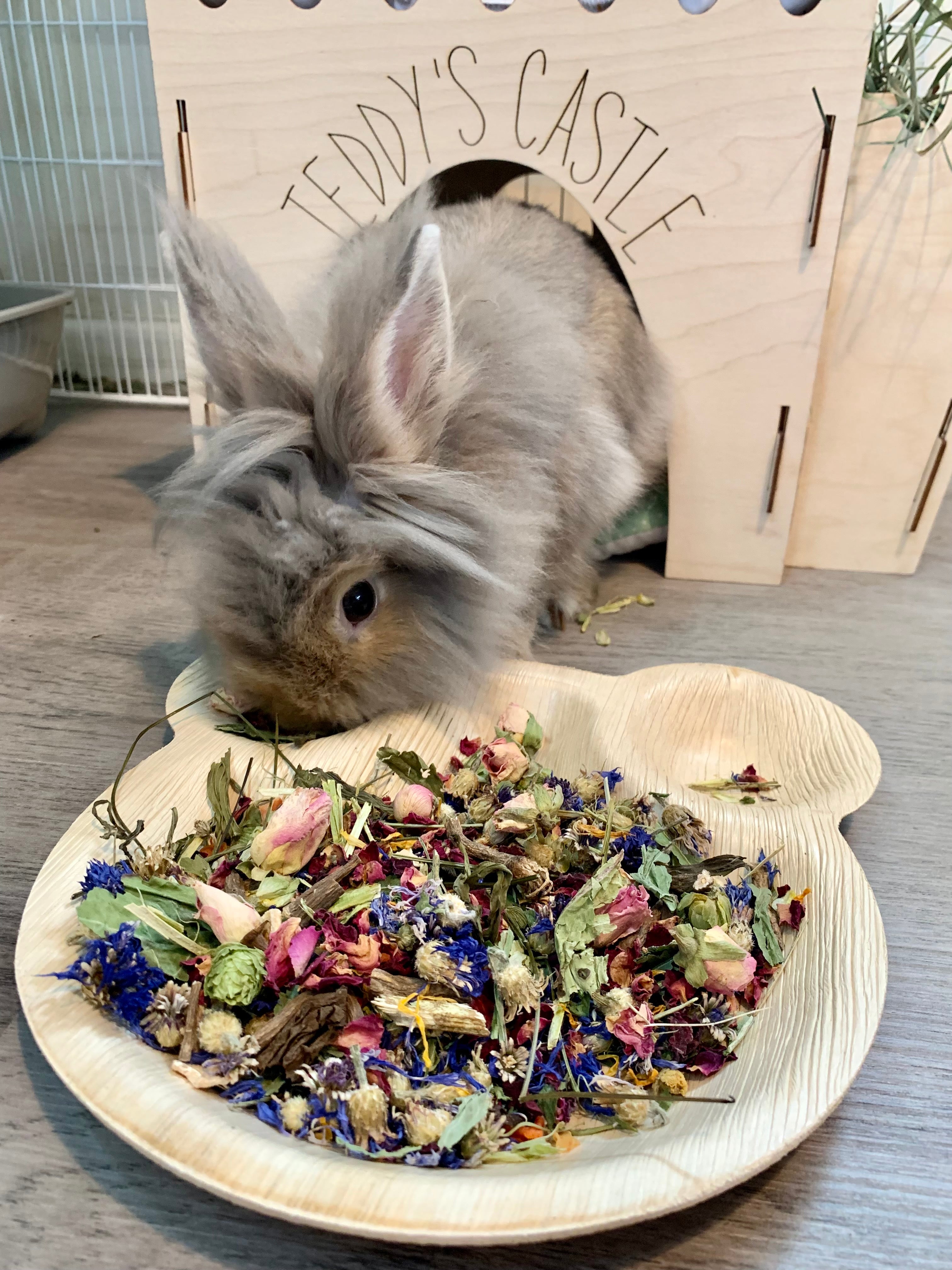 Teddy's favourite forage Tray