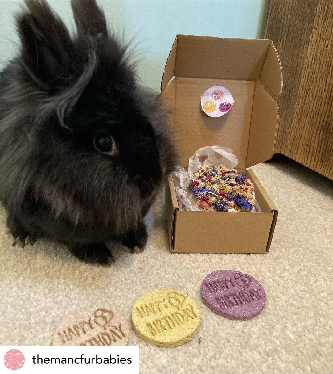 Happy Birthday Cookies