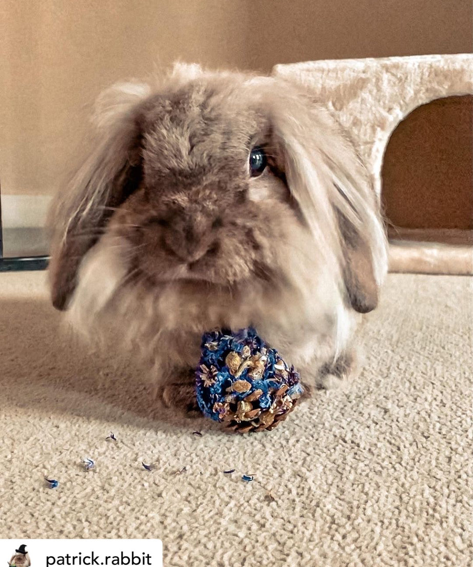 Floral Pine Cone Chew Toy
