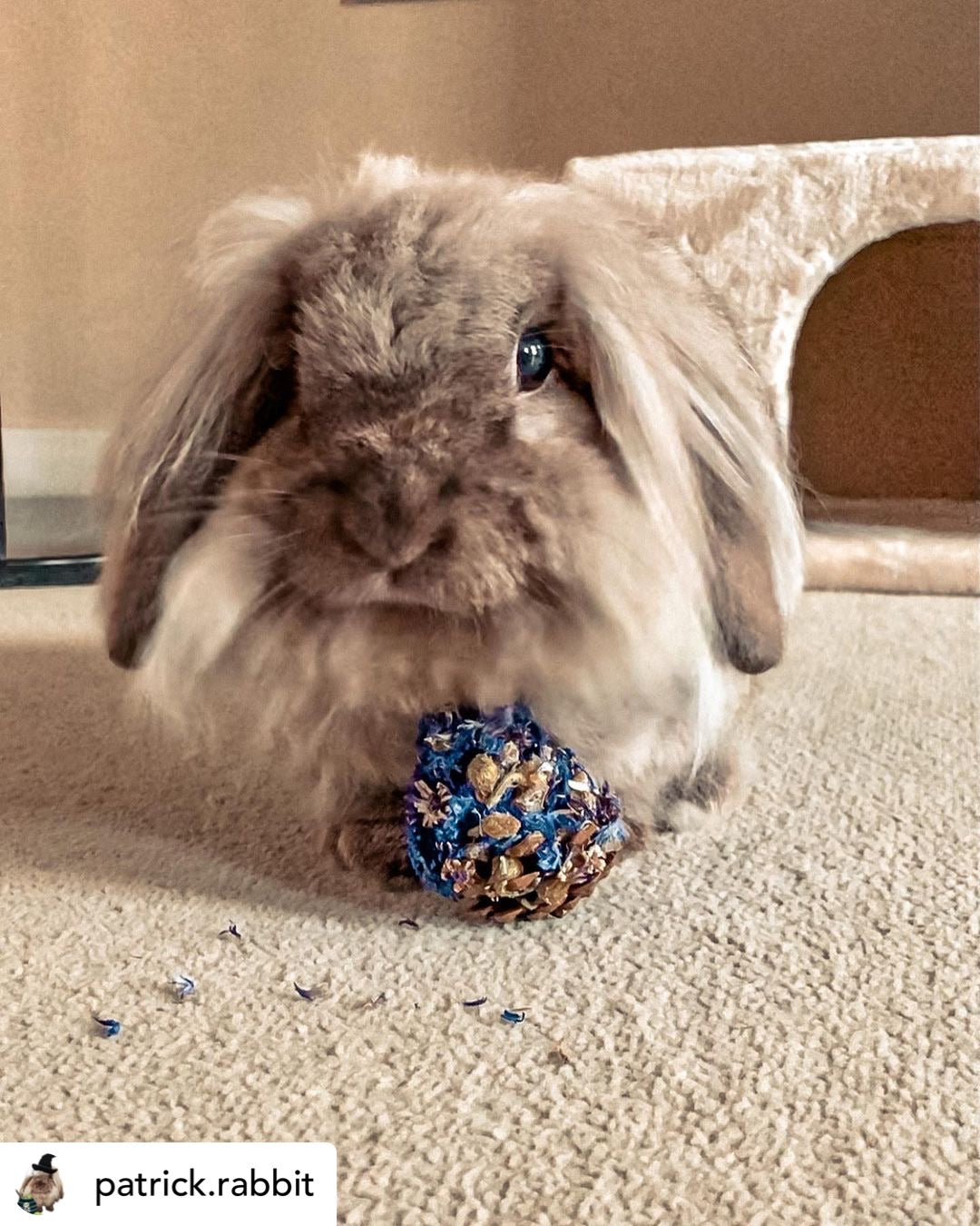 Floral Pine Cone Chew Toy