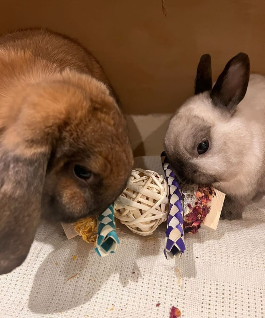 Floral Loofah Throw Chew Toy