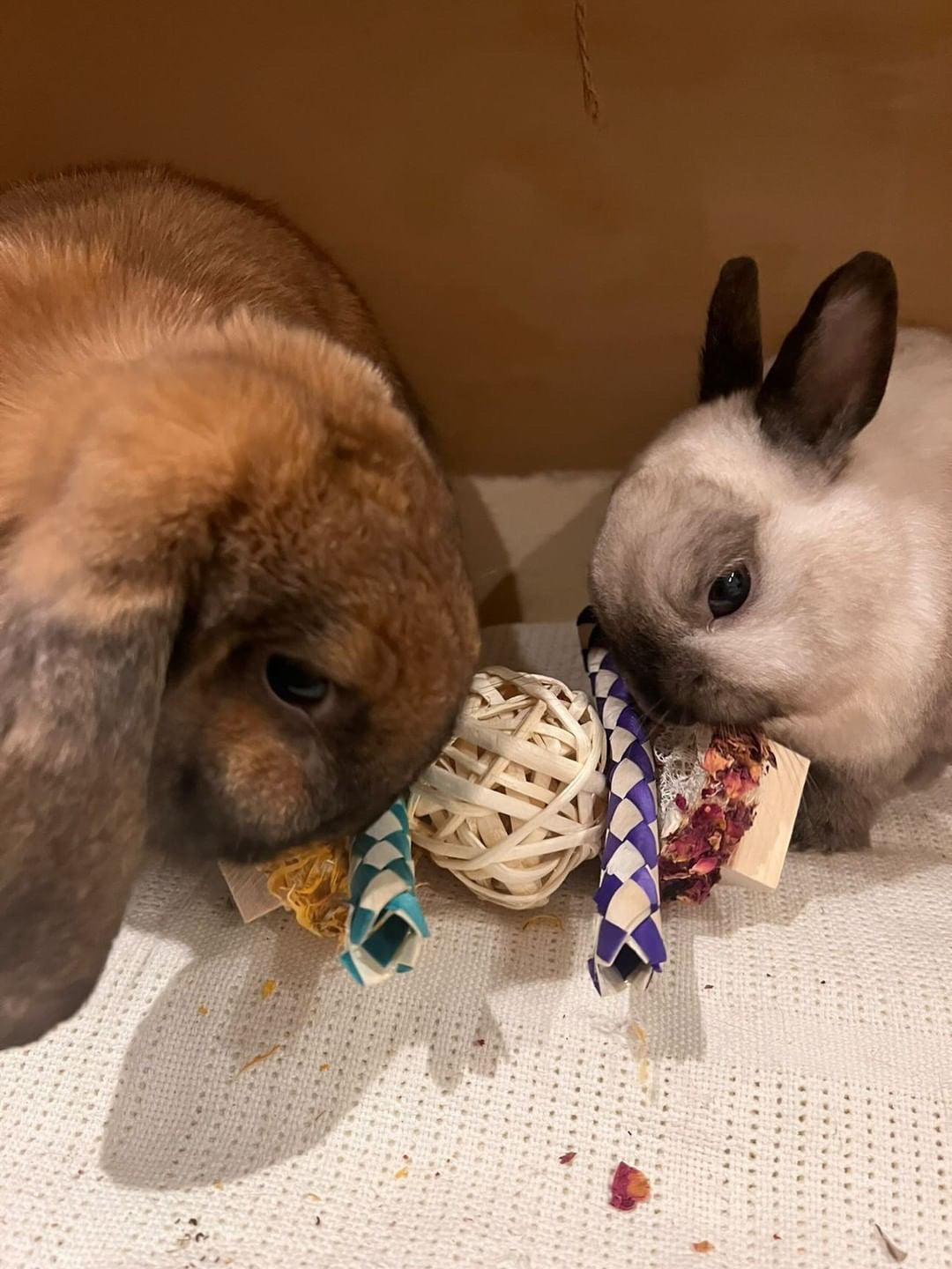 Floral Loofah Throw Chew Toy