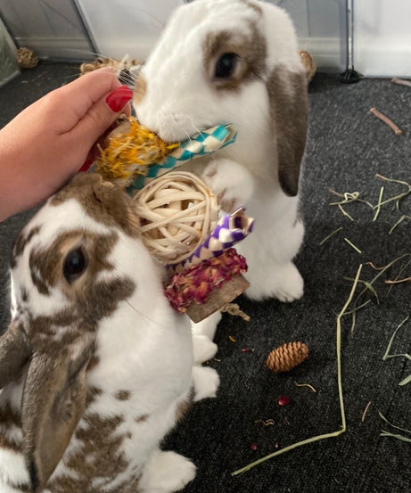 Floral Loofah Throw Chew Toy