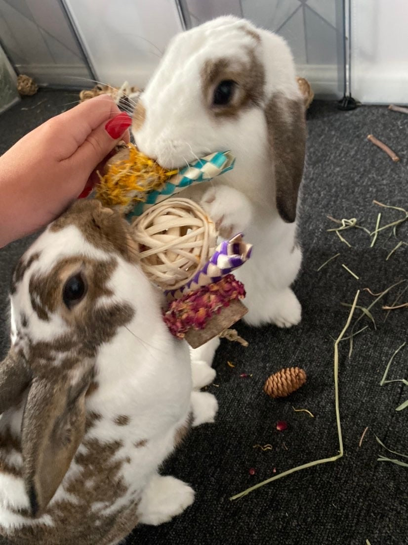 Floral Loofah Throw Chew Toy