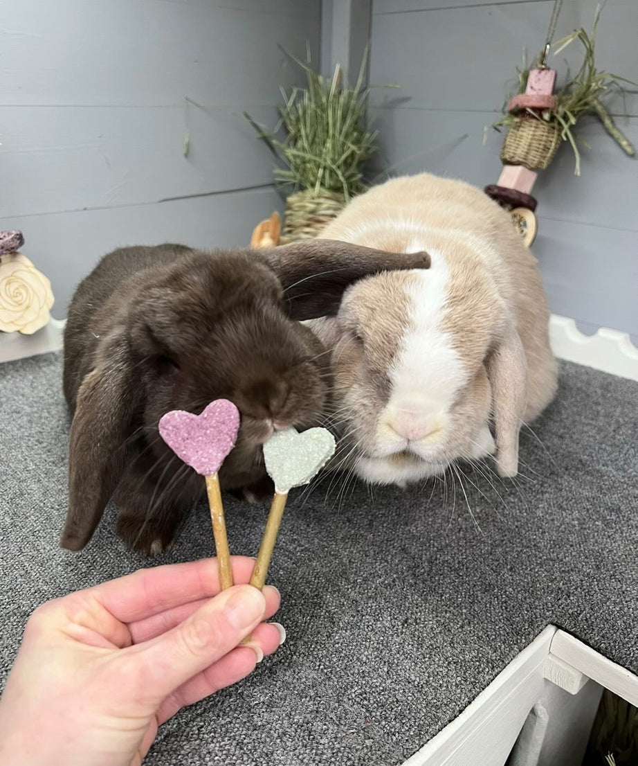 Blue Heart Pops Treat Bag