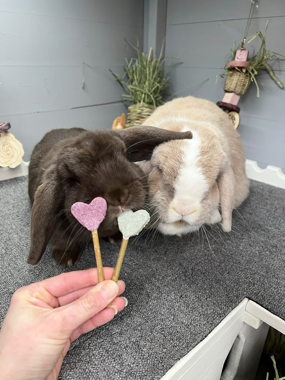 Blue Heart Pops Treat Bag