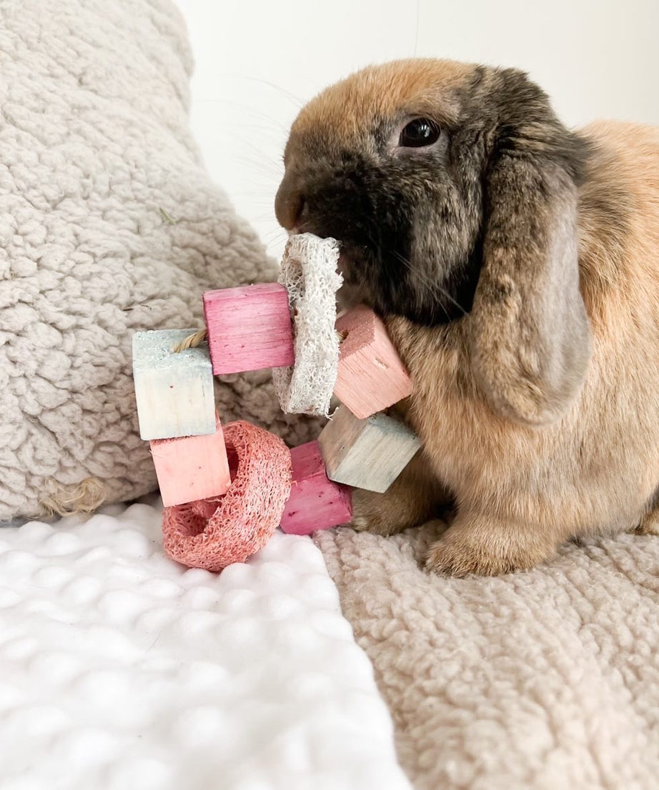 Infused Balsa and Loofah Hula Hoop Chew Toy