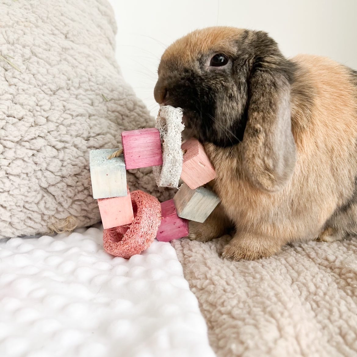 Infused Balsa and Loofah Hula Hoop Chew Toy