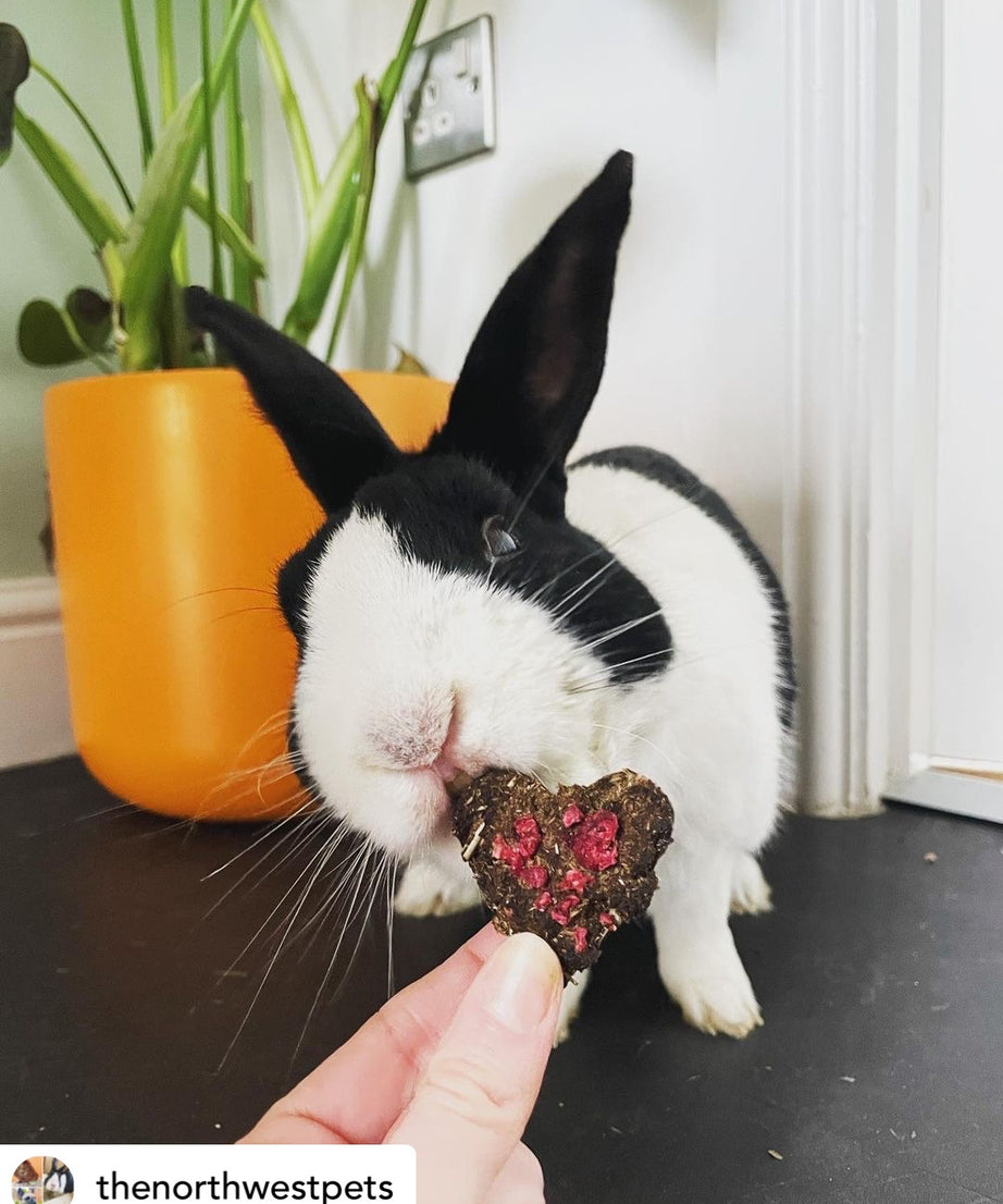 Raspberry Hay Velvet Hearts