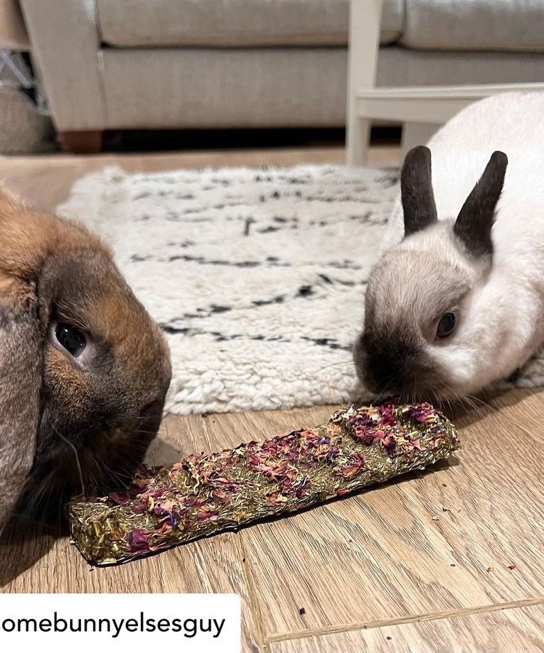 Veggie Hay Snap and Share Bar
