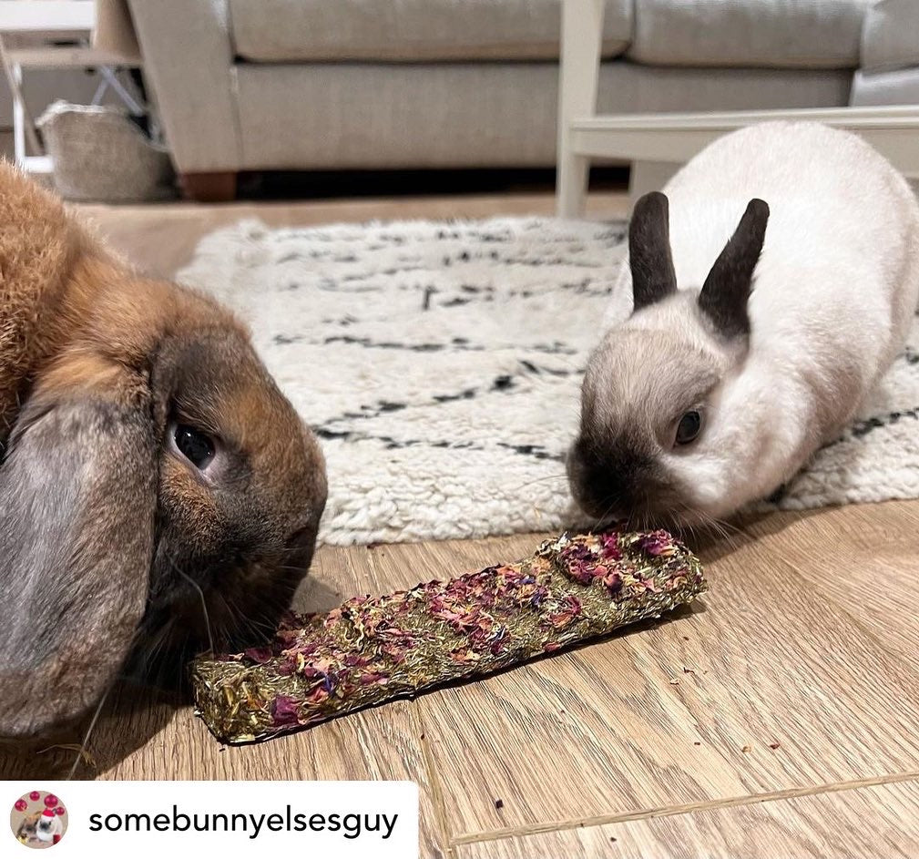 Veggie Hay Snap and Share Bar