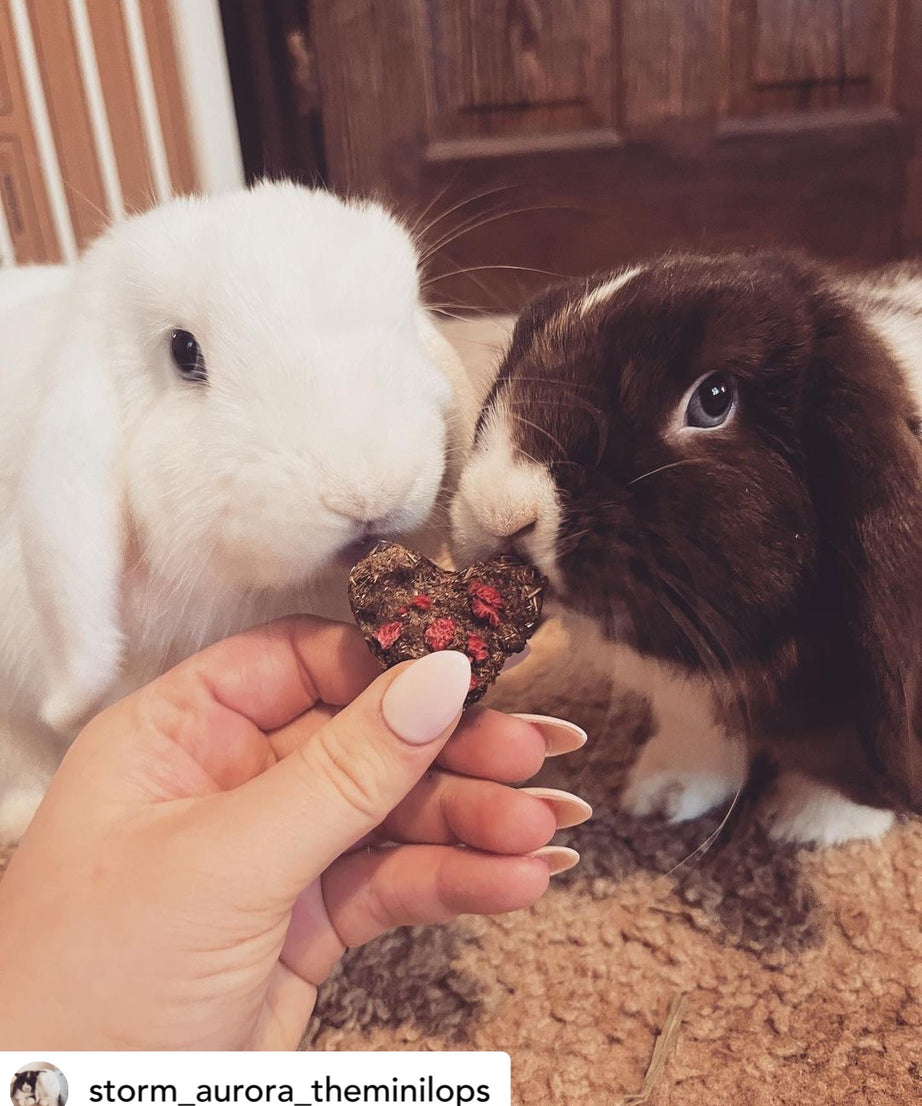 Raspberry Hay Velvet Hearts