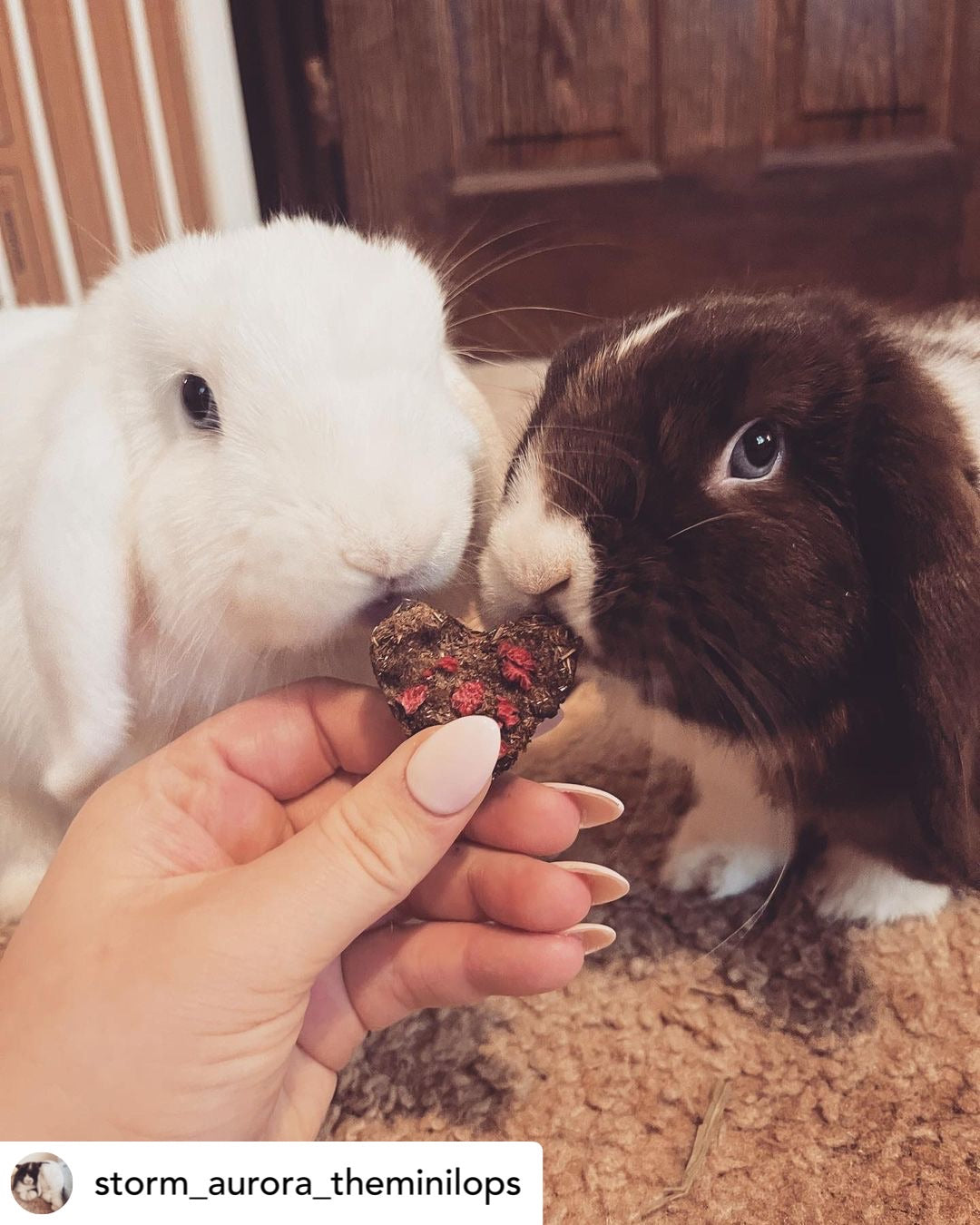 Raspberry Hay Velvet Hearts